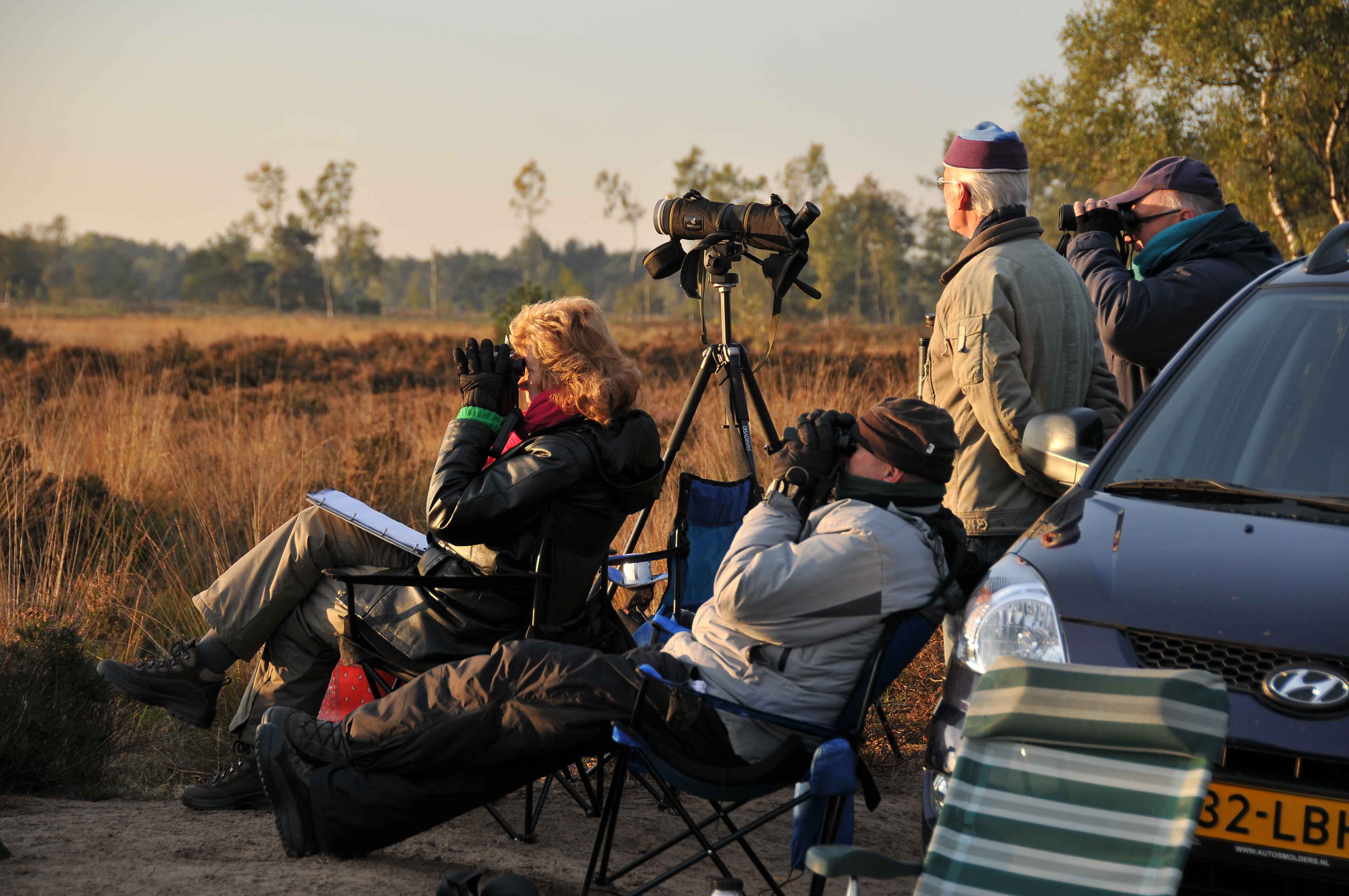 vogeltrektellingen   telpost groote heide