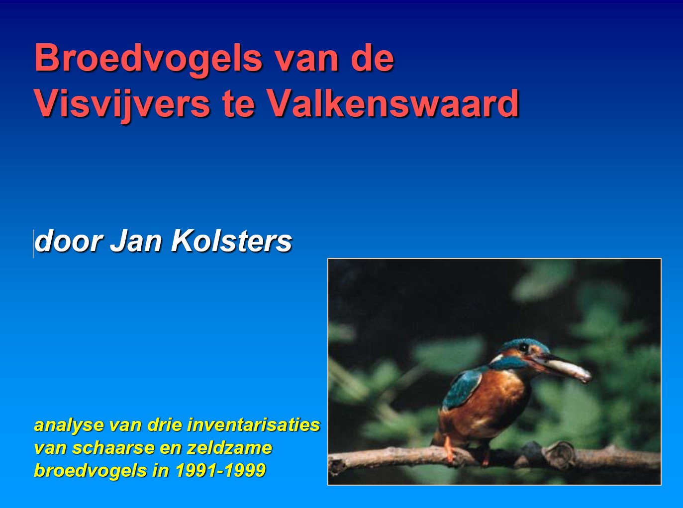 VWGK2000VisvijversValkenswaardOost broedvogels lezing cover