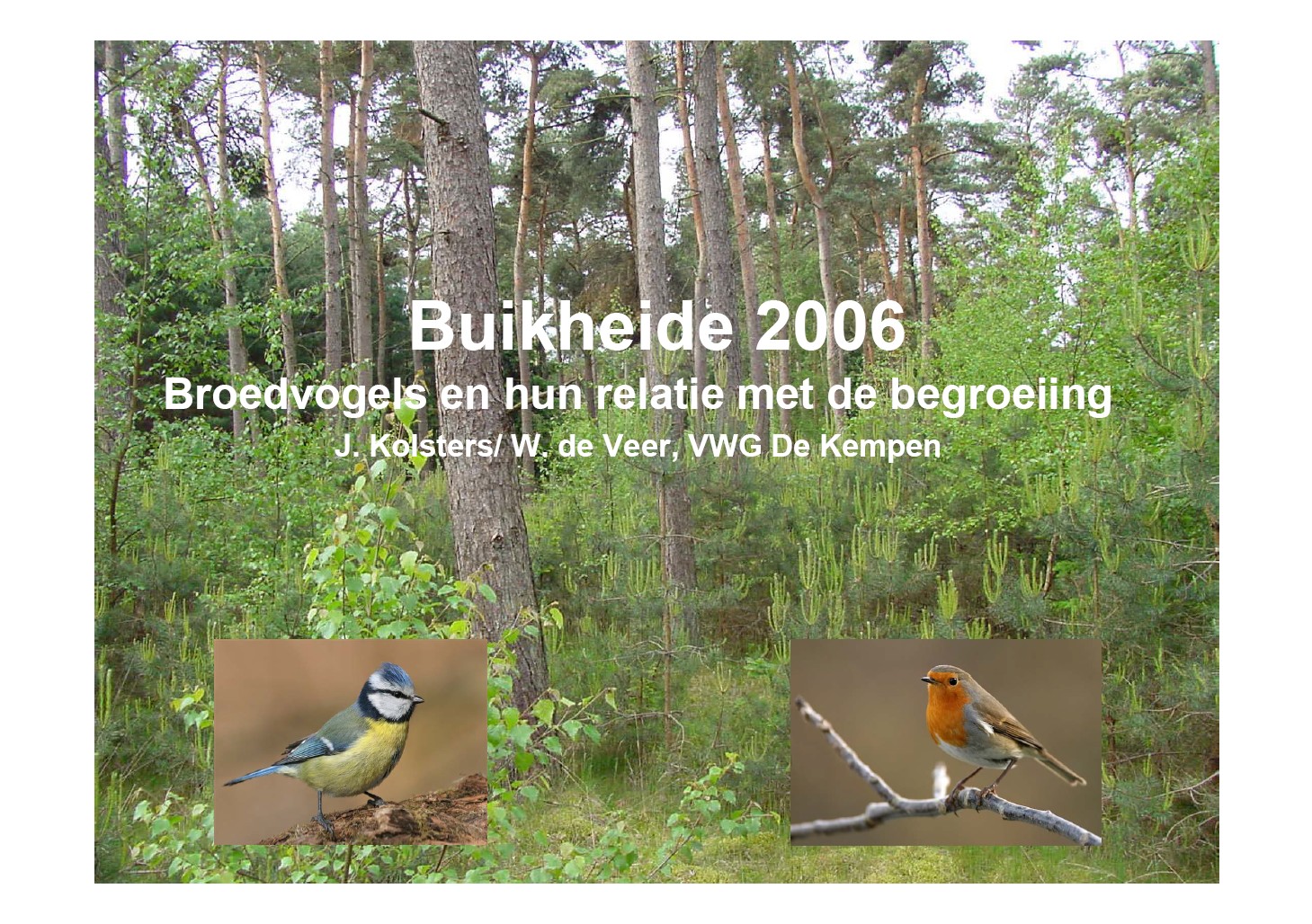 VWGK2007Buikheide broedvogels 2006 lezing cover