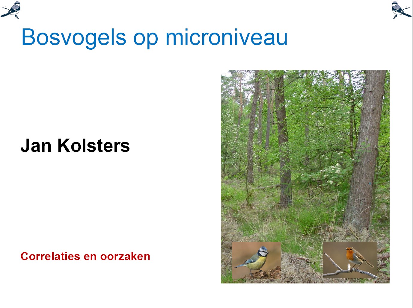 VWGK2015Bosvogels microniveau lezing cover