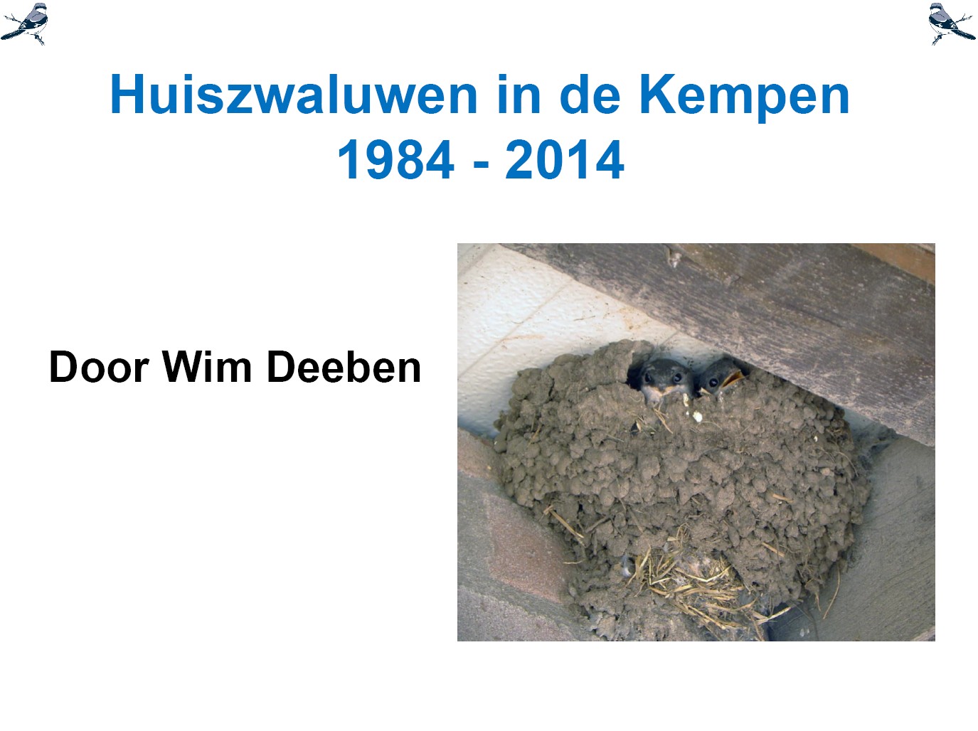 VWGK2015Kempen Huiszwaluw broedvogel 1984 2014 cover