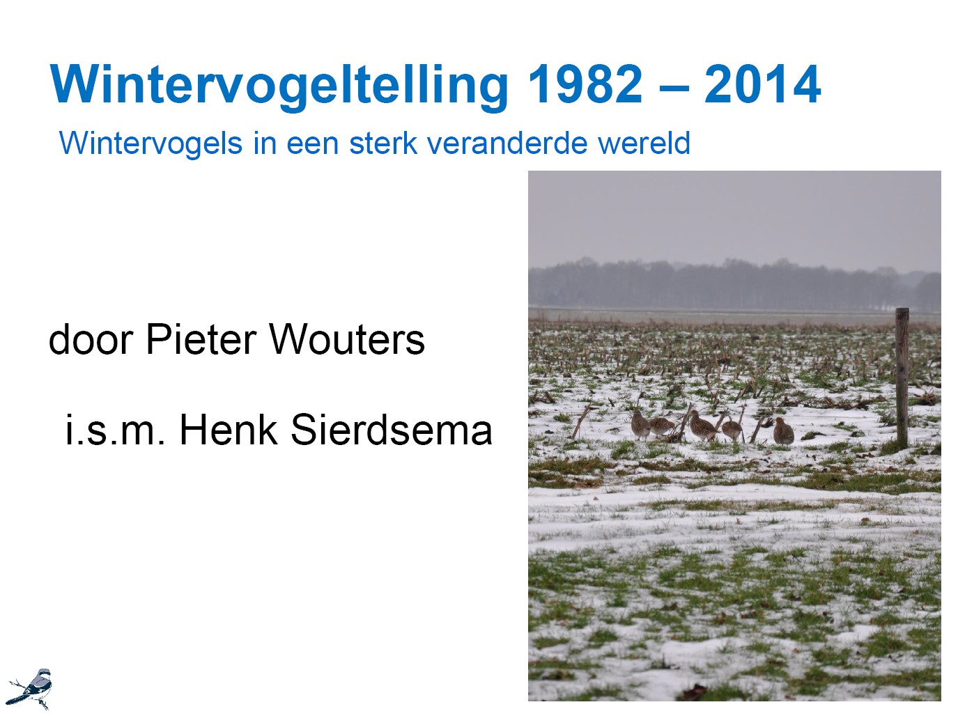 VWGK2015Kempen wintervogels 1982 2014 lezing cover