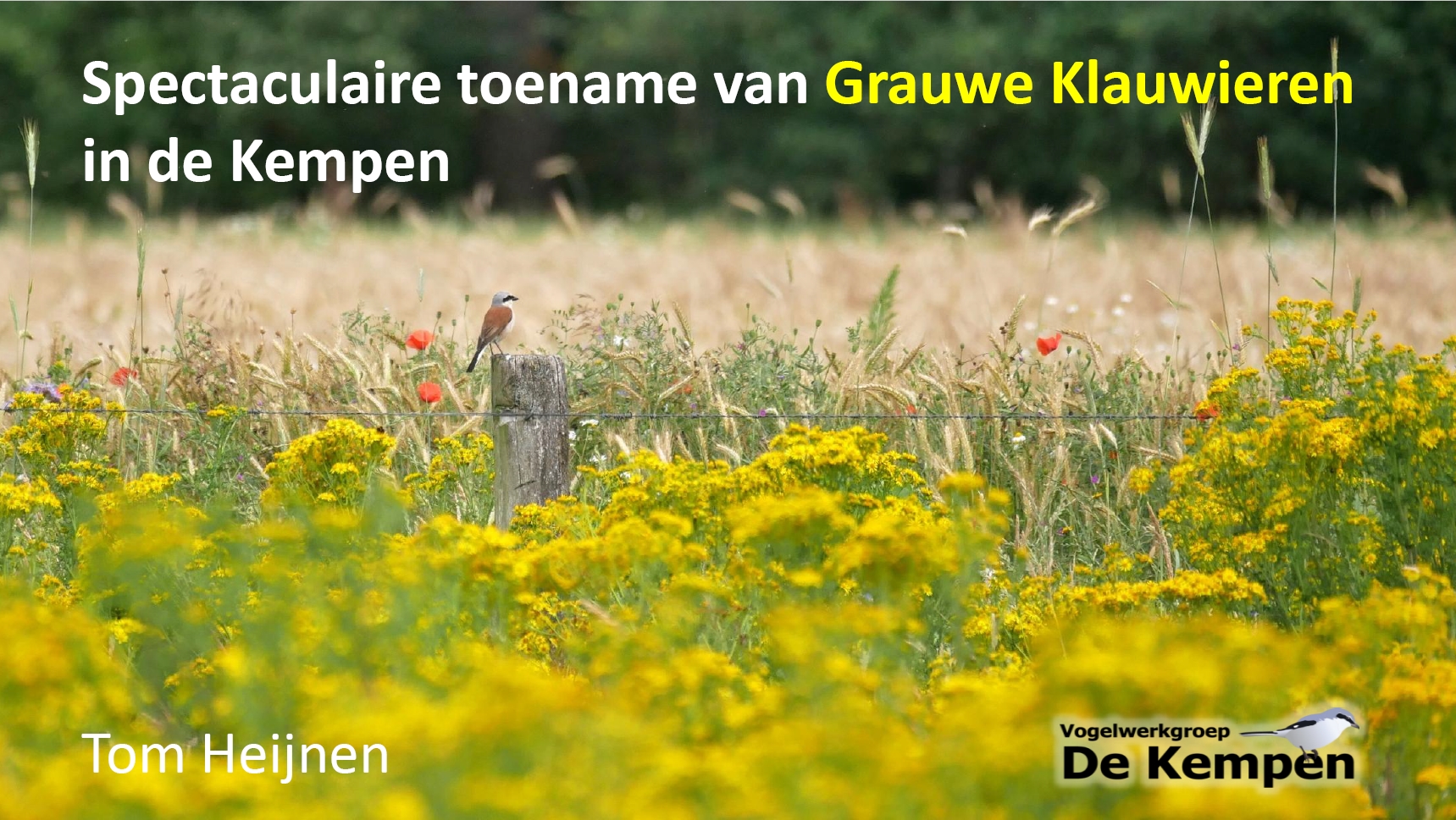 VWGK2025GrauweKlauwier Kempen cover